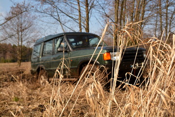 Wiosna w terenie © dominikakaminska