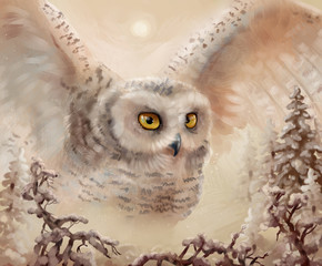 Полярная сова