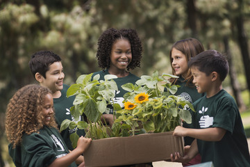 Children in a group learning about plants and flowers looking at sunflowers and young plants, 