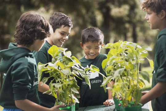 Children In A Group Learning About Plants And Flowers, In An Afterschool Club Or Summer Camp, 