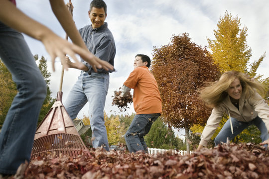 People in a garden raking fallen leaves into piles, and throwing them in the air, 