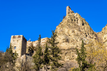 Fototapeta na wymiar Narikala fortress in the old town of Tbilisi