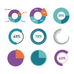 Infographic icon design