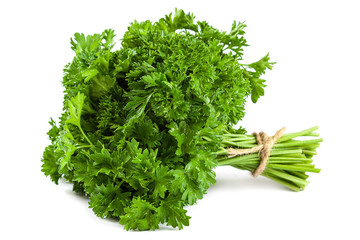 Bunch fresh parsley on white background
