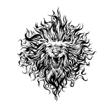 Hand drawn  vintage graphic lion head.