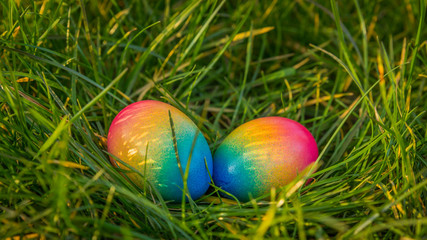 Colored easter eggs