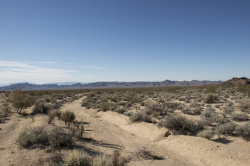 Desierto de Arizona, USA