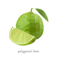 Polygonal Lime