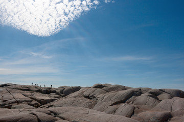 Silhouettes under the Sky