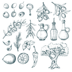 Olive products and supplements sketch.