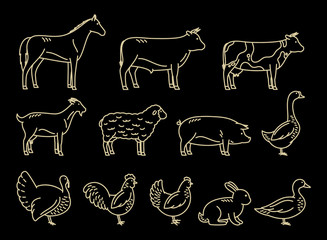 Vector Thin Line Farm Animals Icons Collection