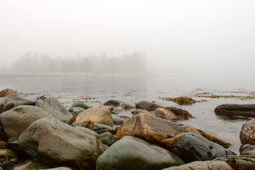 Wet Rocks at the Bay