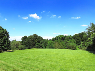 Sunny meadow and blue sky     