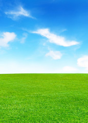 Obraz premium sunny meadow and blue sky and fluffy clouds