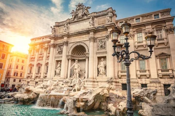 Tuinposter Fountain di Trevi in Rome, Italy © sborisov