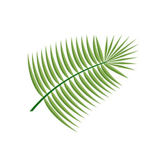 Obraz premium Coconut Leaf Icon