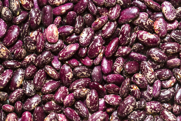 Fototapeta na wymiar background bean seeds