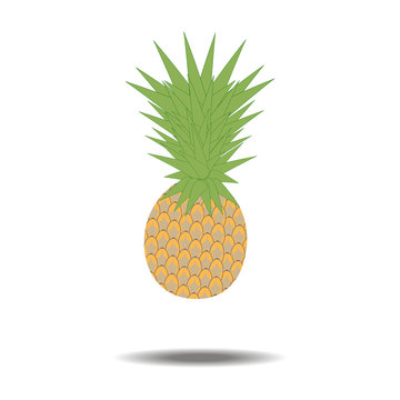 Pineapple Fruit Icon