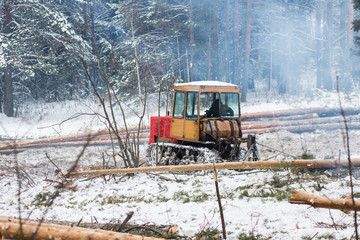 Tractor for export of timber logs