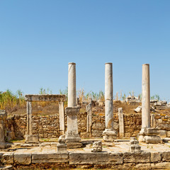 perge old construction in asia turkey the column  and the roman