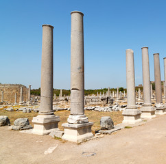 Fototapeta premium in perge old construction asia turkey the column and the roma