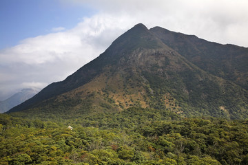 Lantau Island. Hong Kong. China