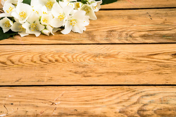 Jasmine flowers on wood background.