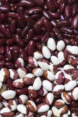 background bean seeds