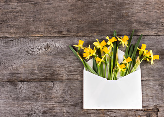 Yellow daffodils in an envelope on the table. Surprise gift.
