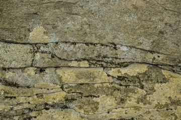 Stone Color