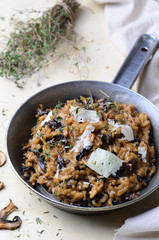 Mushroom Risotto on Vintage Pan 
