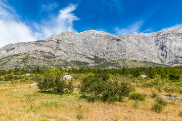 Biokovo Mountain And Trees-Makarska, Croatia