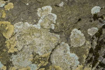 Stone