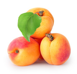 Yellow ripe apricots with leaf