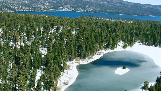 Forest and frozen pond near Big Bear, California