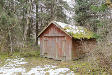 Abandoned barn hidden in the woods