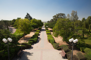 beautiful green park in