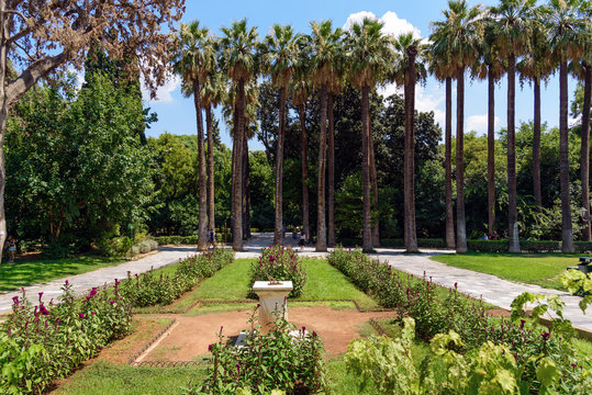 Palm garden in center of Athens, Greece