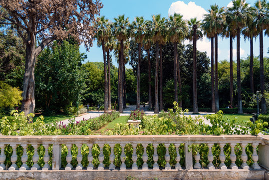 Palm garden in center of Athens, Greece