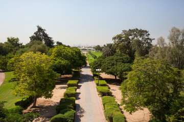 beautiful green park