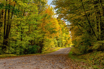 Obraz premium A roadway surrounded by colorful aspen and maple trees in northern Wisconsin during Autumn.