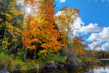 Naklejka premium Autumn scenes along the Chippewa River in northern Wisconsin.