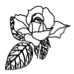 Hand-drawn Rose in Retro Black and White style