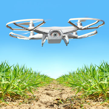 Drone flying over vegetable garden. New tool for farmers use drones to inspect of cultivated fields. Modern technology in farming. Digital artwork of fictional vehicle on agriculture theme.