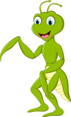Praying mantis grasshopper cartoon