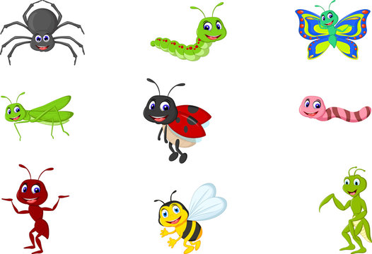 collection of insects cartoon