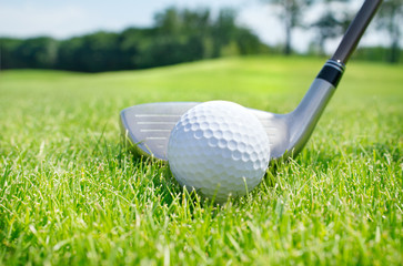 Golf club and ball in grass