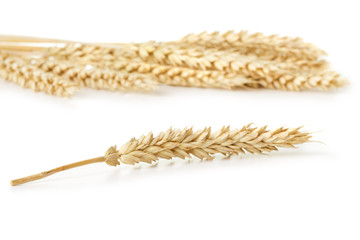 wheat on white background