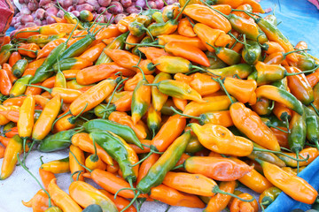 Orange Chili Peppers