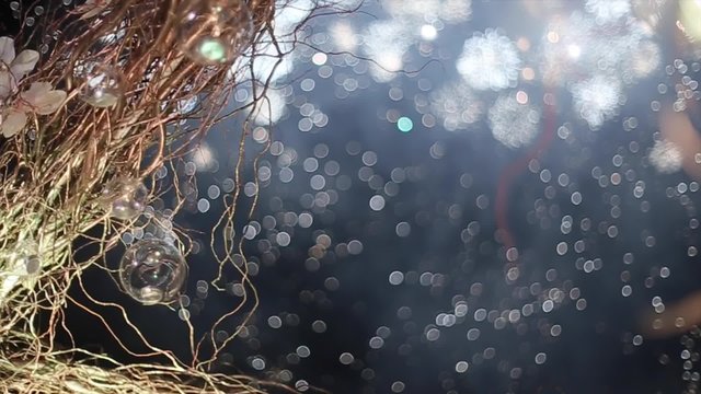  Fireworks in night sky wedding day